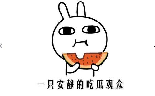黑料吃瓜什么意思,网络时代下的八卦文化现象